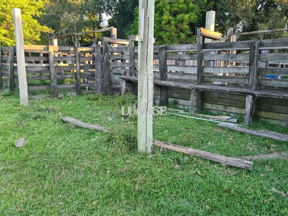 Chácara à venda com 3 quartos, 60002m² - Foto 7