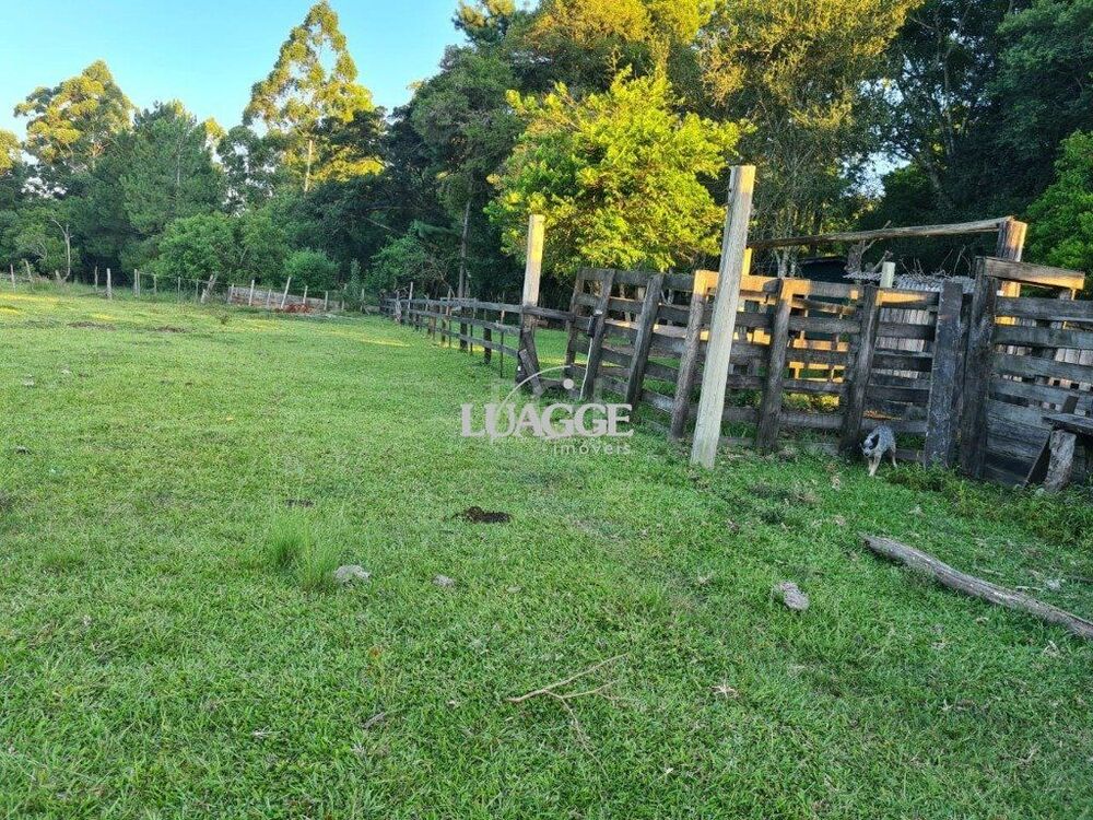 Chácara à venda com 3 quartos, 60002m² - Foto 3