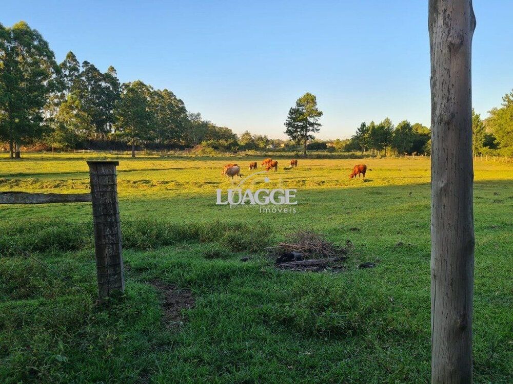 Chácara à venda com 3 quartos, 60002m² - Foto 4