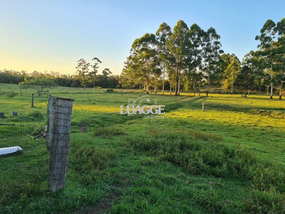 Chácara à venda com 3 quartos, 60002m² - Foto 14