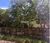 Terreno, 2 hectares - Foto 3