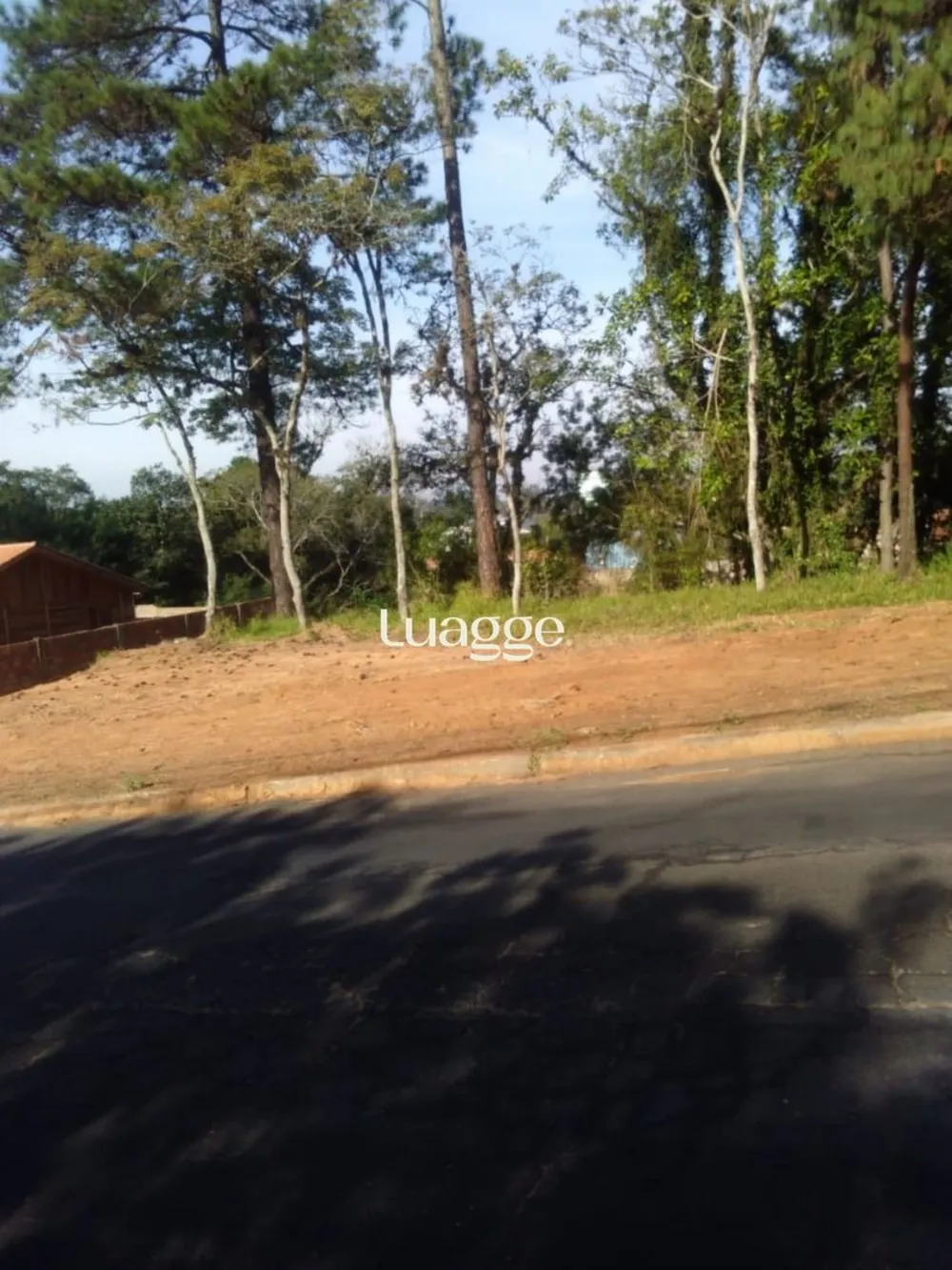 Casa, 4 quartos, 348 m² - Foto 3