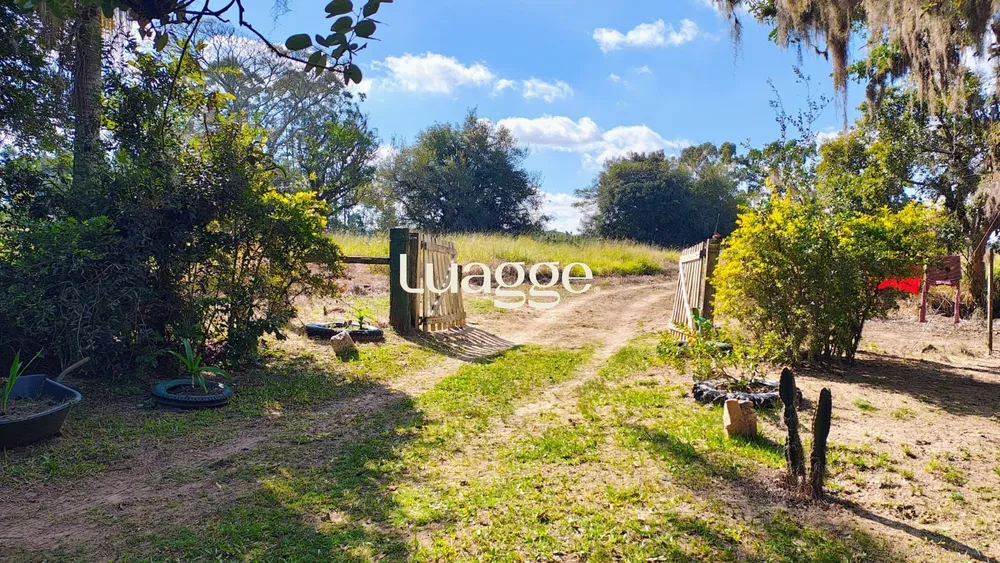 Fazenda, 4 quartos - Foto 4