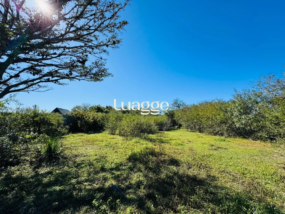 Terreno, 1001 m² - Foto 1