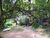Terreno, 3 hectares - Foto 3