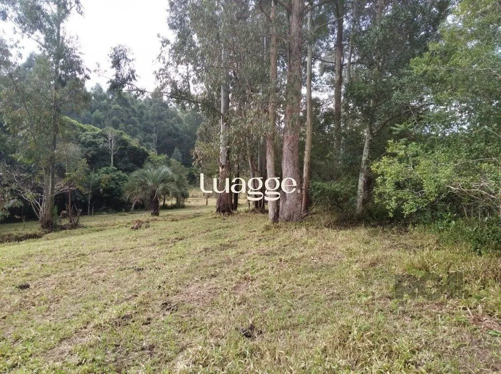 Terreno, 2501 m² - Foto 1