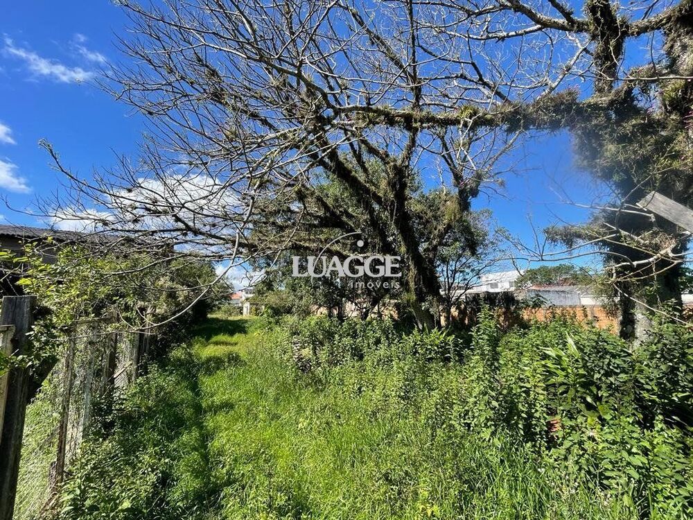 Terreno à venda, 2396m² - Foto 2