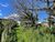 Terreno, 2396 m² - Foto 2