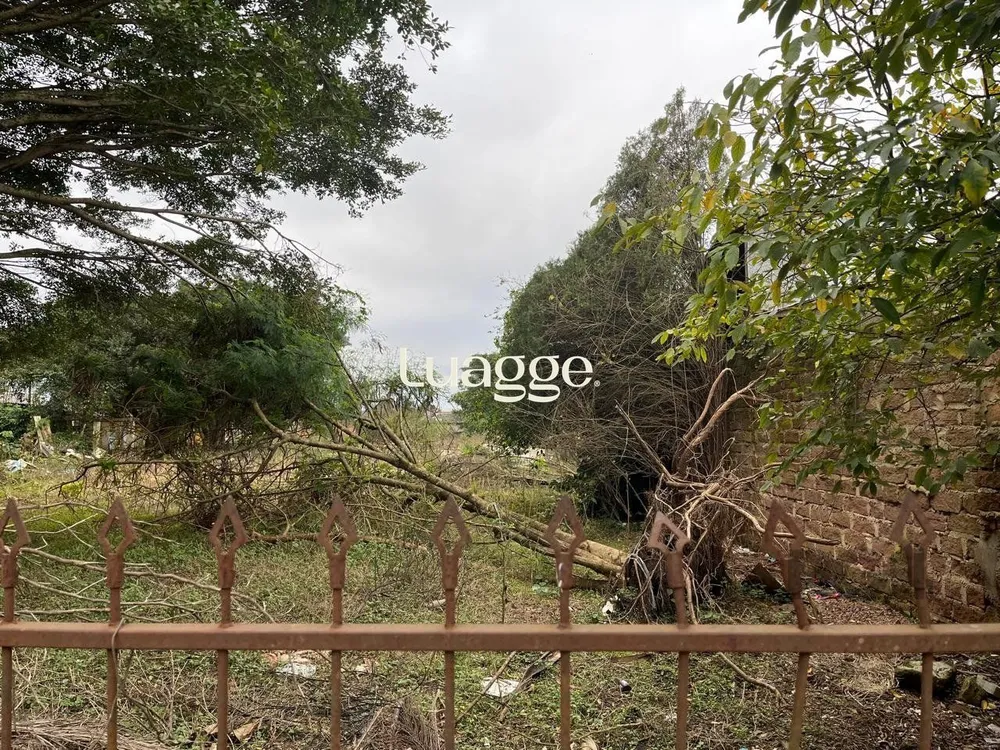 Terreno, 3001 m² - Foto 3