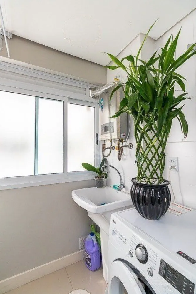 Casa, 3 quartos, 236 m² - Foto 4