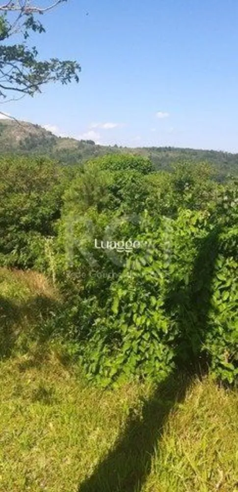 Terreno, 4201 m² - Foto 3