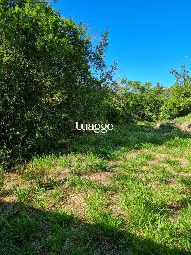 Terreno, 3 hectares - Foto 1