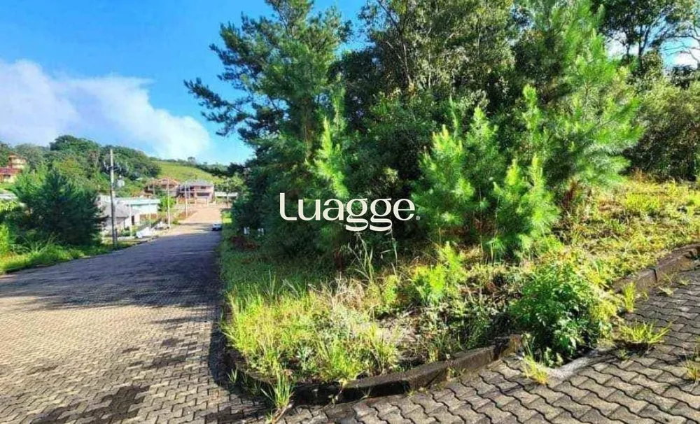 Terreno, 451 m² - Foto 1