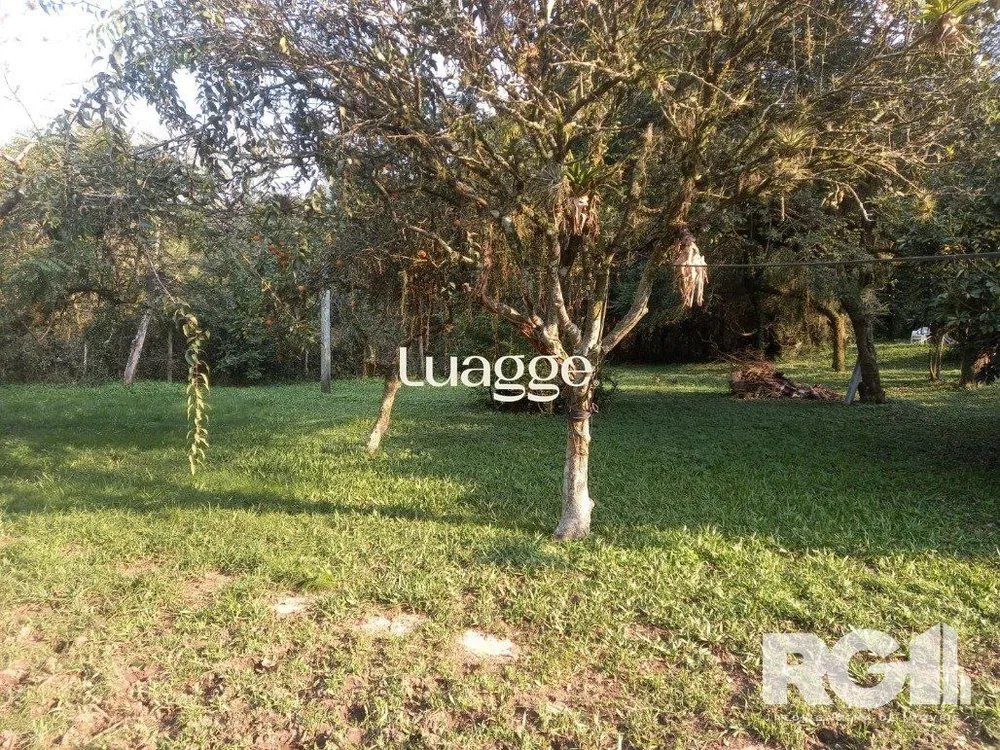 Sítio, 3 quartos, 279 m² - Foto 4