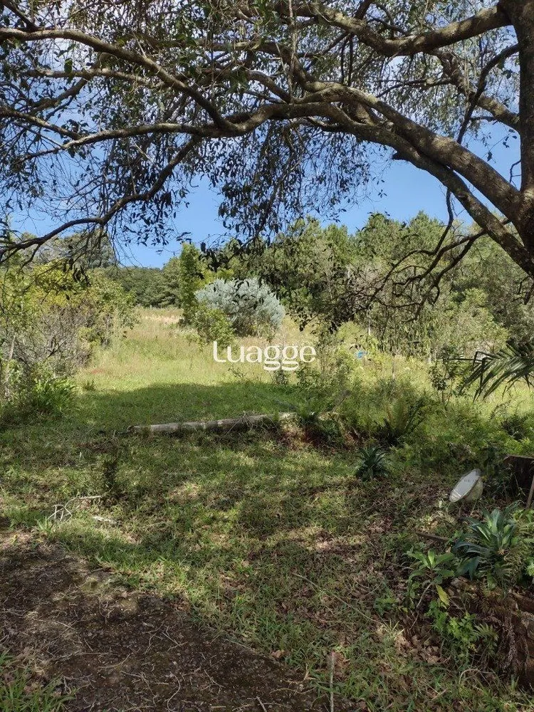 Sítio, 2 quartos, 15709 m² - Foto 3
