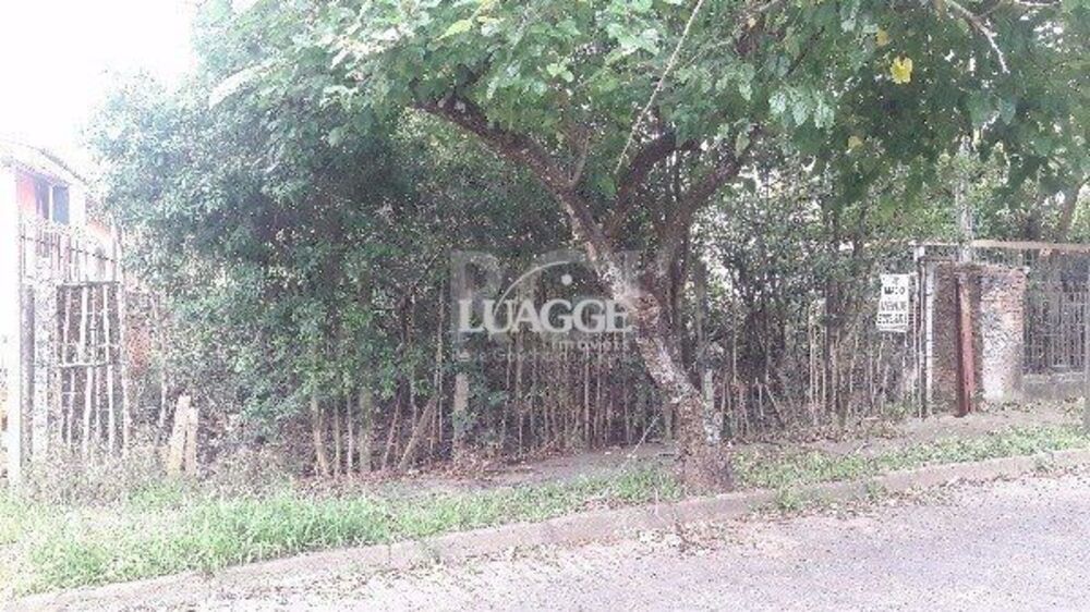 Terreno à venda, 202m² - Foto 3