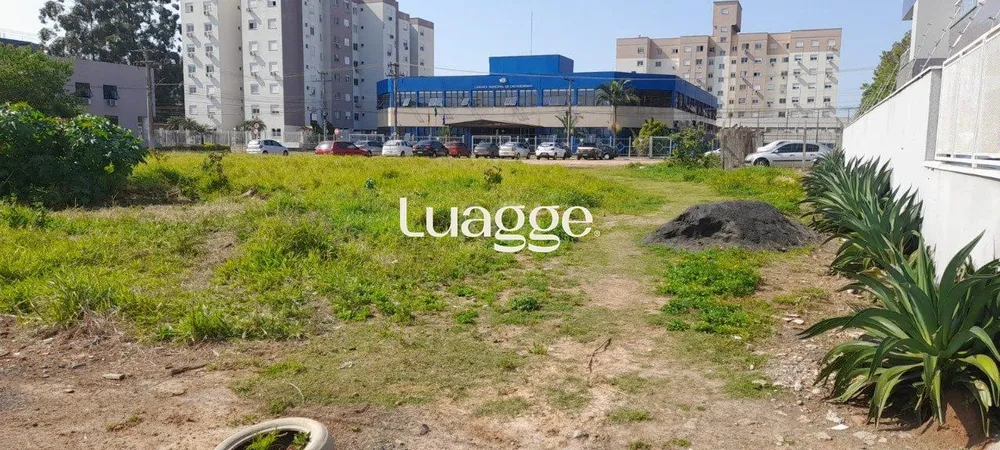 Terreno, 301 m² - Foto 3