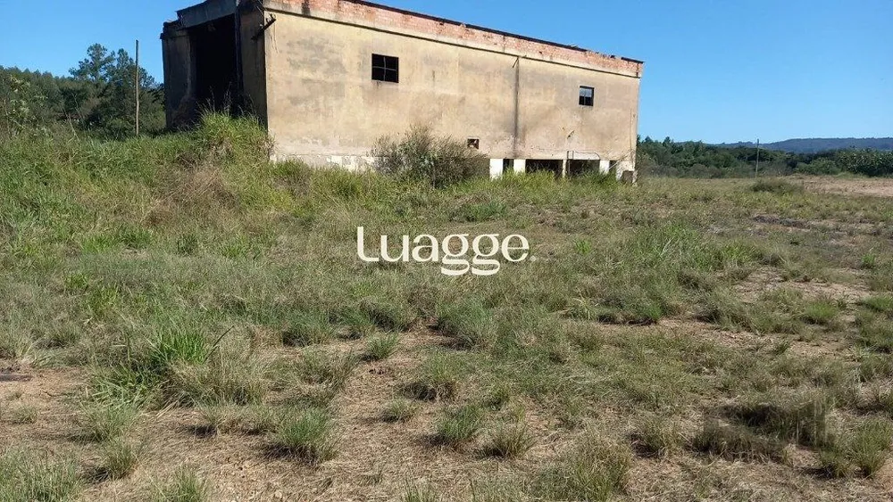 Terreno, 2 hectares - Foto 3