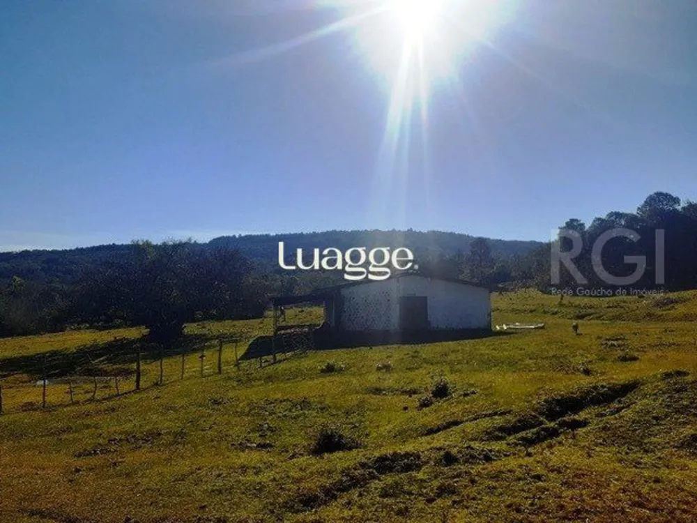 Terreno, 71 hectares - Foto 4