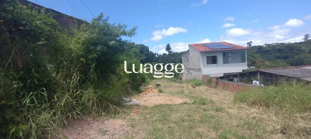 Apartamento, 3 quartos, 316 m² - Foto 3