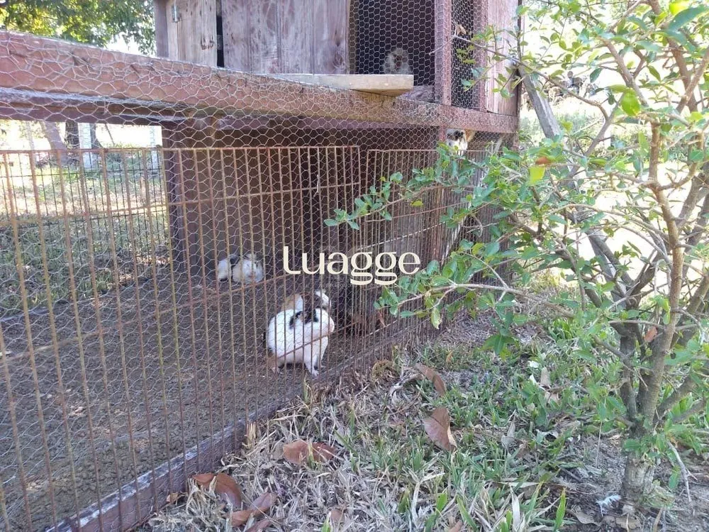 Sítio, 4 quartos, 8 hectares - Foto 3