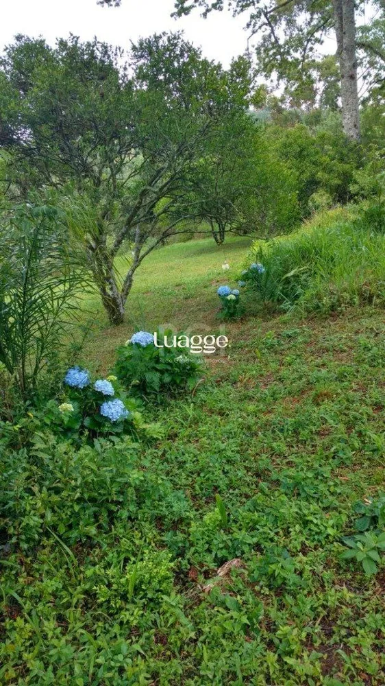 Sítio, 1 quarto, 5 hectares - Foto 1