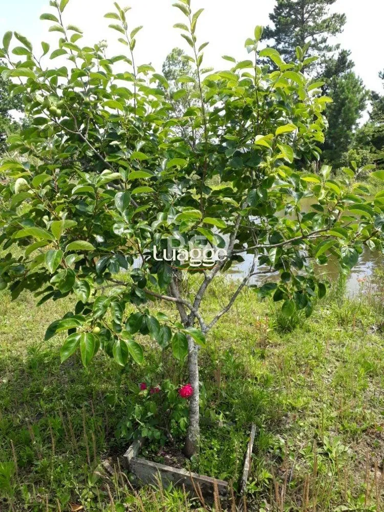Terreno, 991 m² - Foto 1