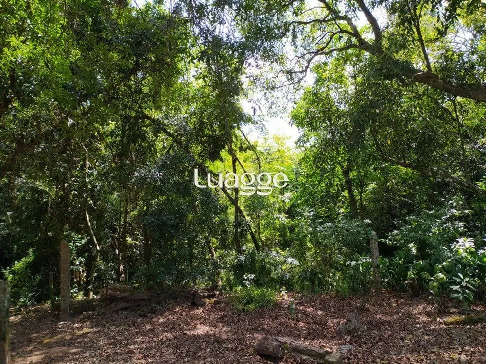 Terreno, 3 hectares - Foto 1