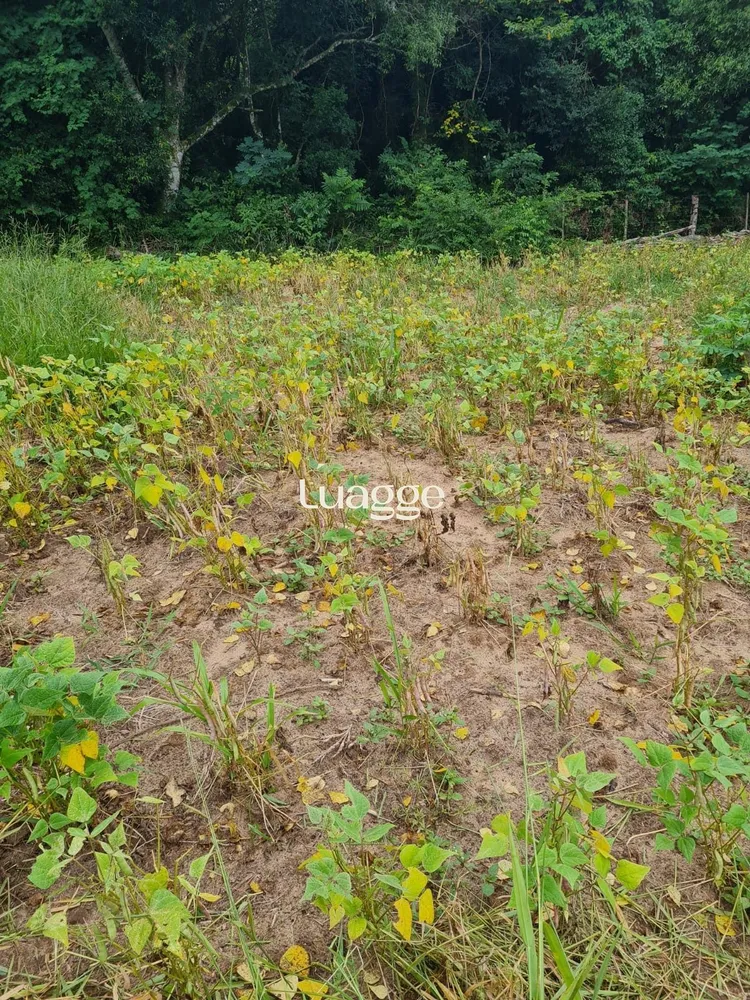 Terreno, 97 hectares - Foto 1