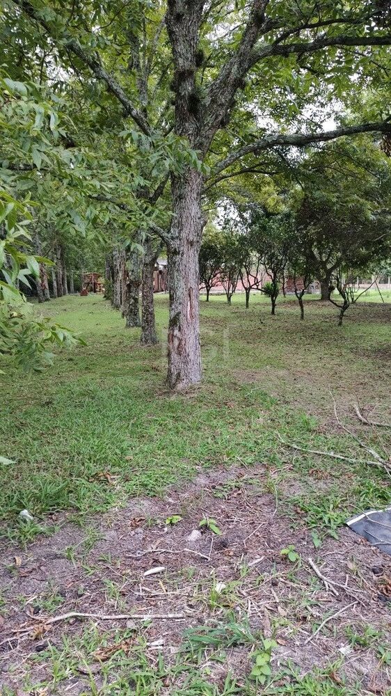 Sítio à venda com 6 quartos, 249m² - Foto 4