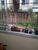 Apartamento, 2 quartos, 54 m² - Foto 2