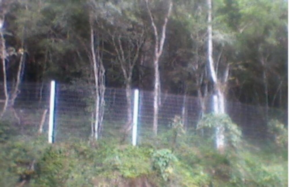 Terreno à venda, 5099m² - Foto 3