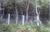 Terreno, 5099 m² - Foto 3