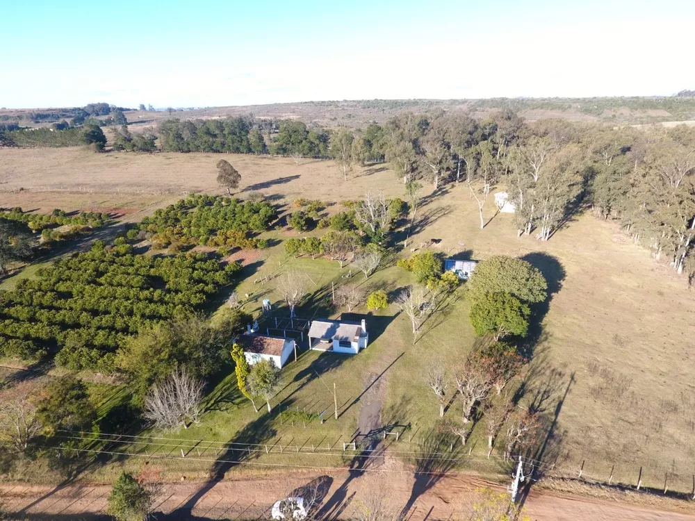 Depósito-Galpão-Armazém à venda com 2 quartos, 200001m² - Foto 4