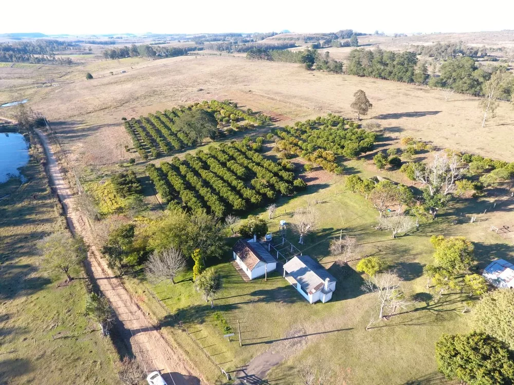 Depósito-Galpão-Armazém à venda com 2 quartos, 200001m² - Foto 1