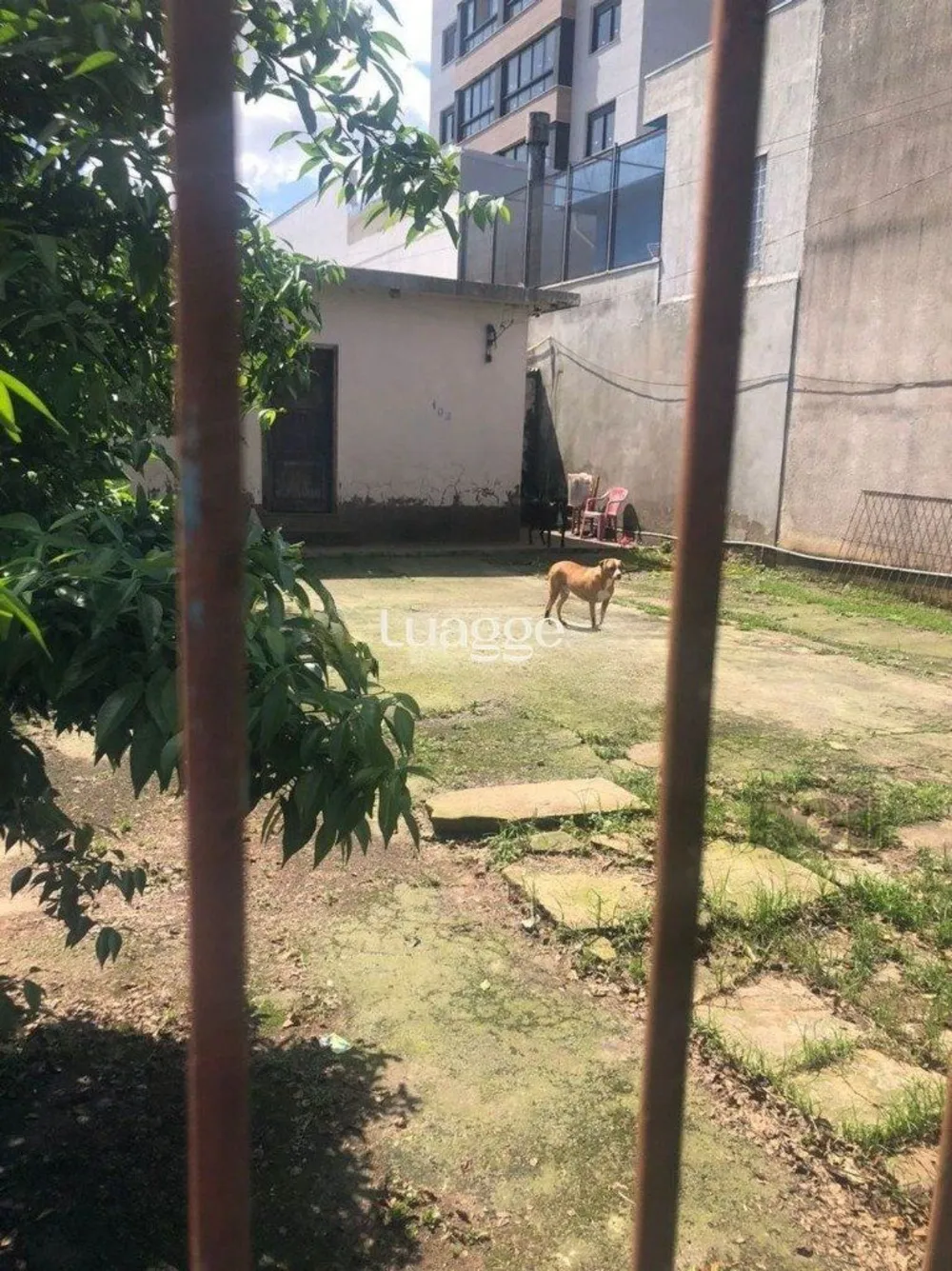 Apartamento, 3 quartos, 80 m² - Foto 1