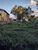 Terreno, 300 m² - Foto 2