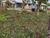 Terreno, 300 m² - Foto 1