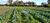 Fazenda, 2 m² - Foto 3
