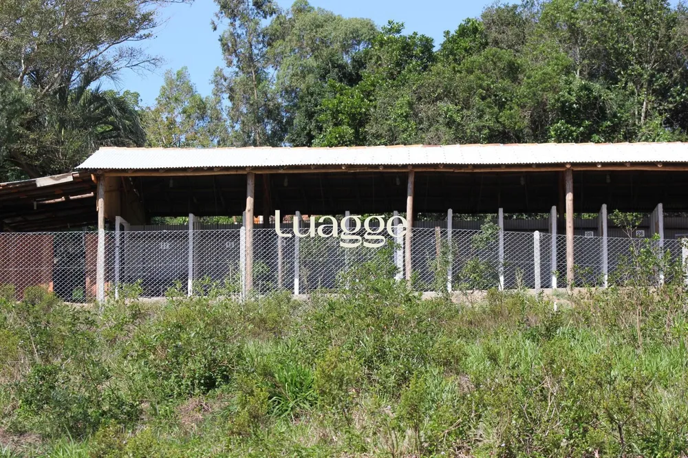 Sítio, 2501 m² - Foto 1