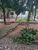 Terreno, 399 m² - Foto 3