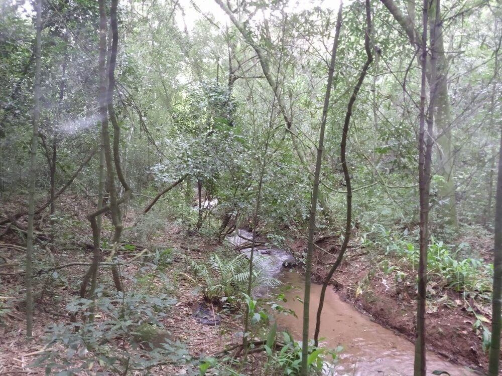 Terreno à venda, 46959m² - Foto 3