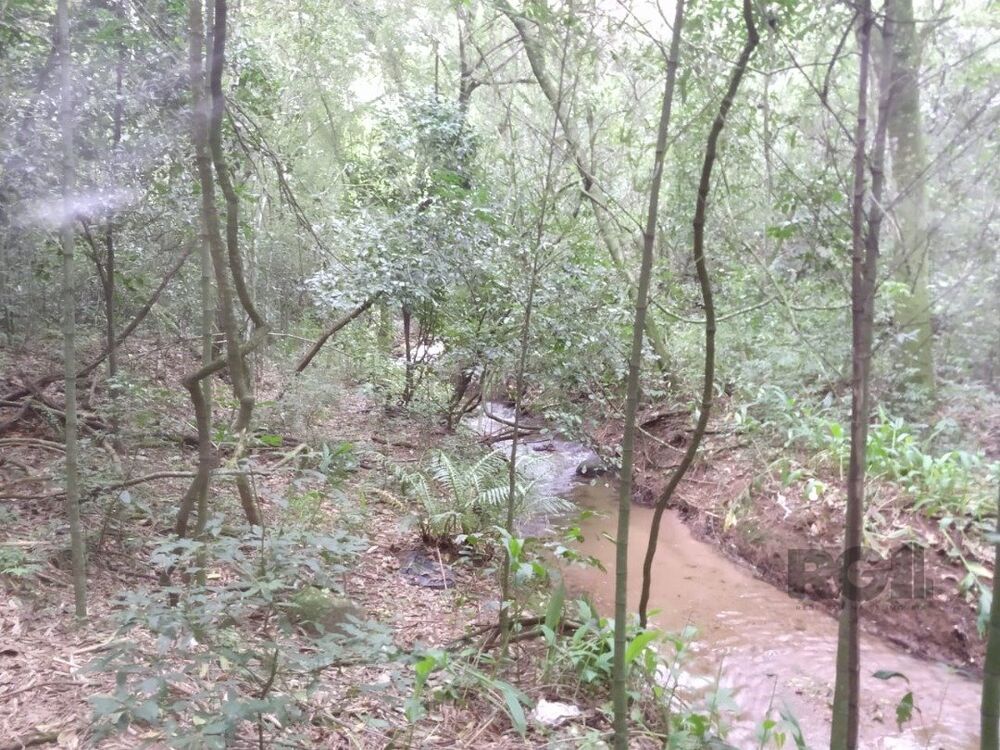 Terreno à venda, 46959m² - Foto 4