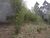 Terreno, 5 hectares - Foto 2