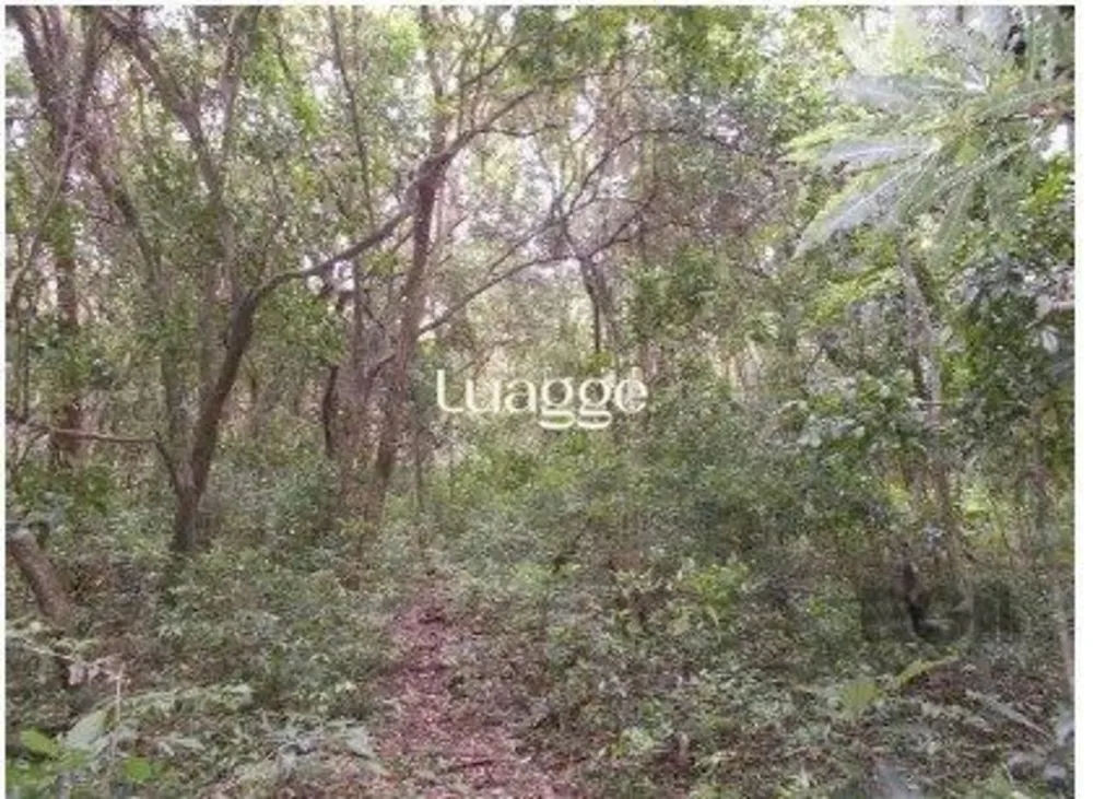 Terreno, 6 hectares - Foto 1