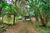 Terreno, 7267 m² - Foto 3
