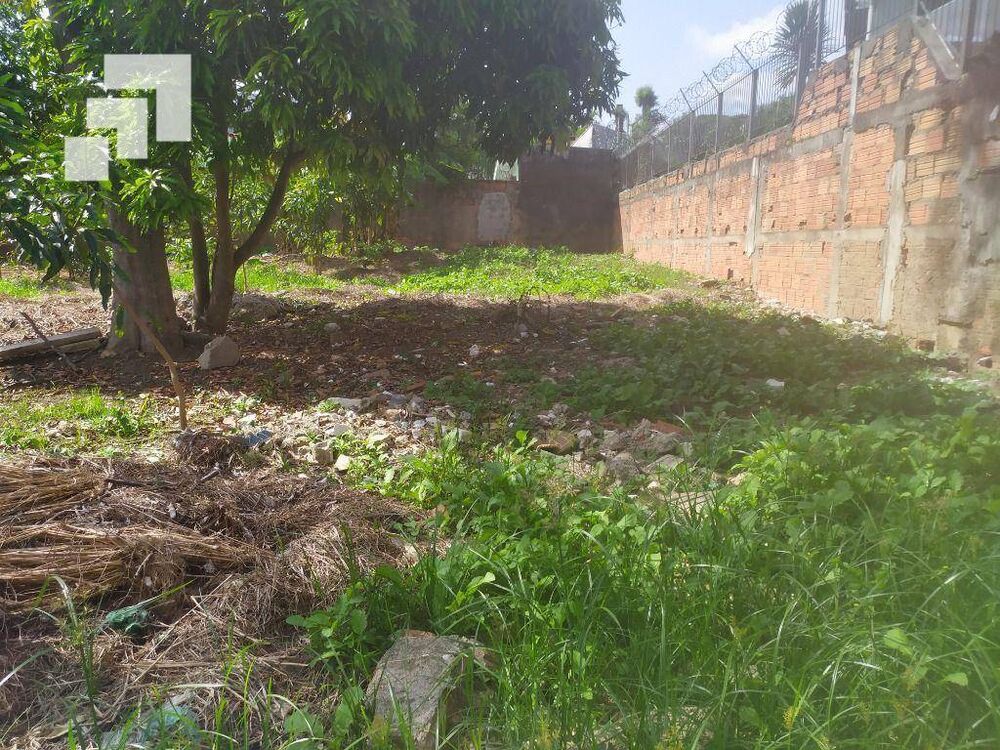 Terreno, 614 m² - Foto 5