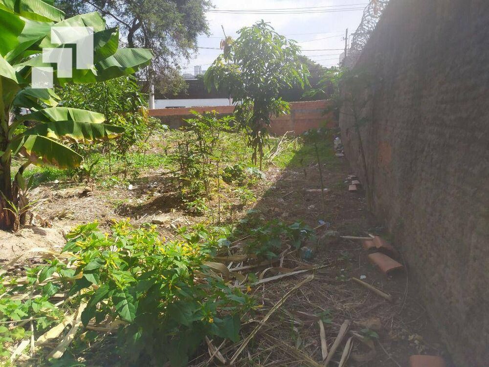 Terreno, 614 m² - Foto 8