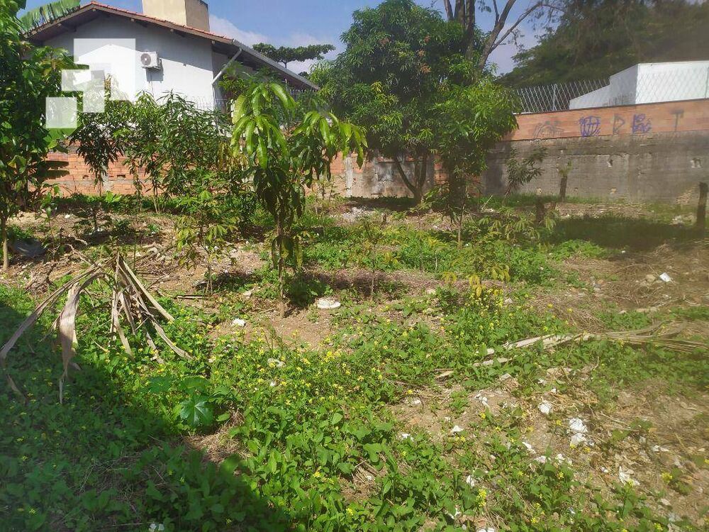 Terreno, 614 m² - Foto 6