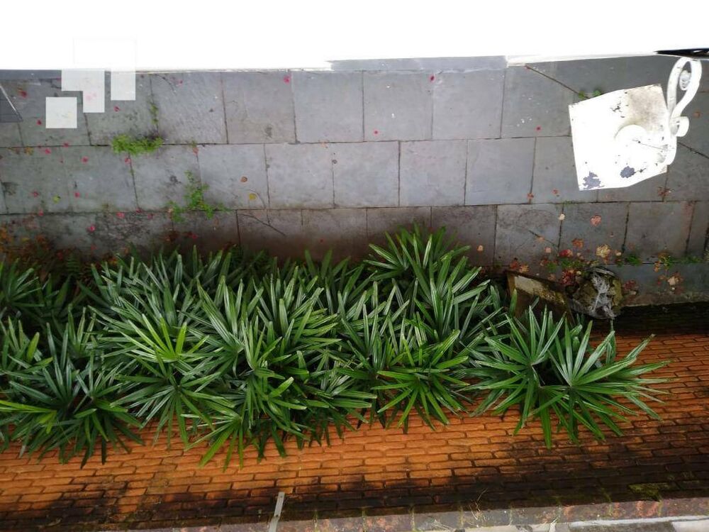 Sobrado, 4 quartos, 440 m² - Foto 3